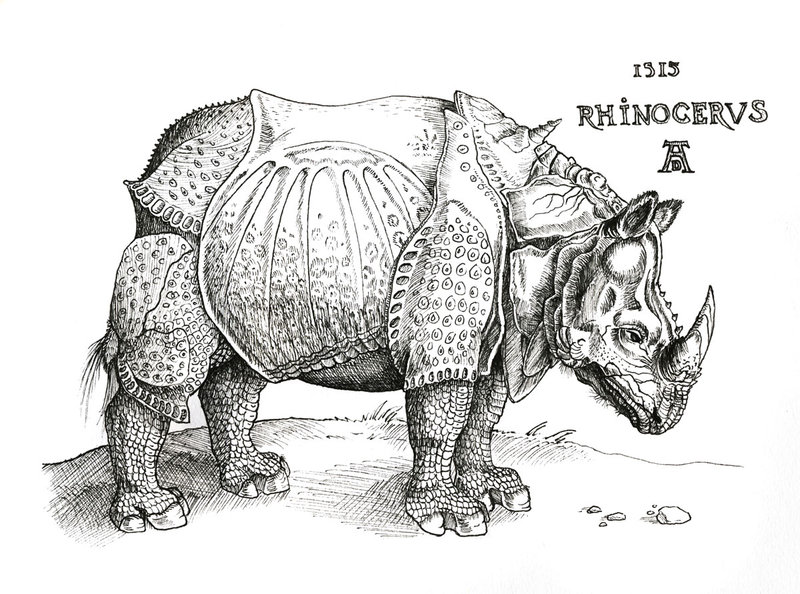 Rhinoceros in London